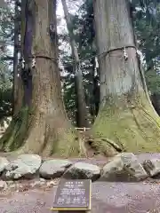 河口浅間神社(山梨県)