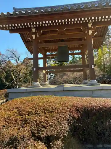 能仁寺の{uncategorized: "未分類", other: "その他", undefined: "問題あり", building: "その他建物", grave: "お墓", sacred_gate: "鳥居", guardian: "狛犬", statue: "像", buddha: "仏像", history: "歴史", nature: "自然", garden: "庭園", animal: "動物", pagoda: "塔", temizu: "手水舎", mountain_gate: "山門・神門", sanctuary: "本殿・本堂", subordinate: "末社・摂社", art: "芸術", scenery: "景色", jizo: "地蔵", ema: "絵馬", goshuin: "御朱印", omikuji: "おみくじ", items: "授与品その他", amulet: "お守り", goshuincho: "御朱印帳", eats: "食事", festival: "お祭り", votive_dance: "神楽", shichigosan: "七五三参", wedding: "結婚式", experience: "体験その他", initially: "初詣", around: "周辺", anti_infection: "感染症対策"}