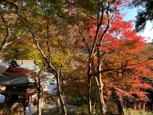 普門寺(切り絵御朱印発祥の寺)のその他建物