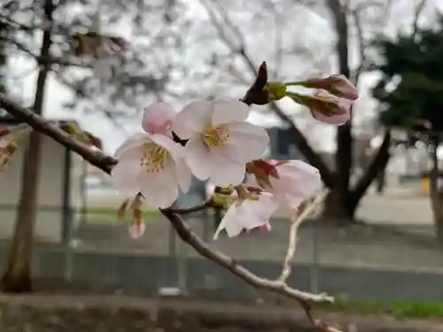 大沼神社の自然
