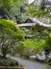 岩船寺(京都府)