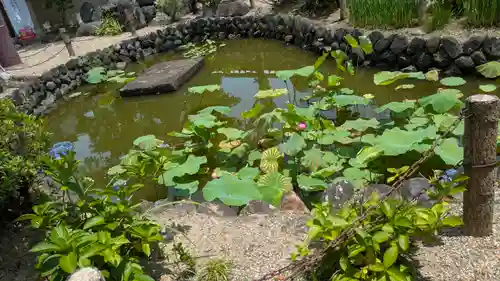 飛鳥寺(奈良県)