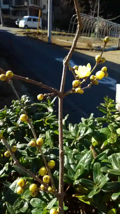 徳雲院の授与品その他