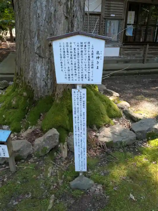 若狭姫神社(若狭彦神社下社)の{uncategorized: "未分類", other: "その他", undefined: "問題あり", building: "その他建物", grave: "お墓", sacred_gate: "鳥居", guardian: "狛犬", statue: "像", buddha: "仏像", history: "歴史", nature: "自然", garden: "庭園", animal: "動物", pagoda: "塔", temizu: "手水舎", mountain_gate: "山門・神門", sanctuary: "本殿・本堂", subordinate: "末社・摂社", art: "芸術", scenery: "景色", jizo: "地蔵", ema: "絵馬", goshuin: "御朱印", omikuji: "おみくじ", items: "授与品その他", amulet: "お守り", goshuincho: "御朱印帳", eats: "食事", festival: "お祭り", votive_dance: "神楽", shichigosan: "七五三参", wedding: "結婚式", experience: "体験その他", initially: "初詣", around: "周辺", anti_infection: "感染症対策"}