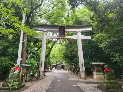 若宮八幡宮(高知県)