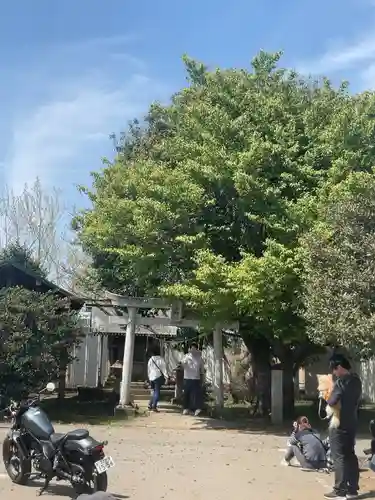 東峰神社(千葉県)