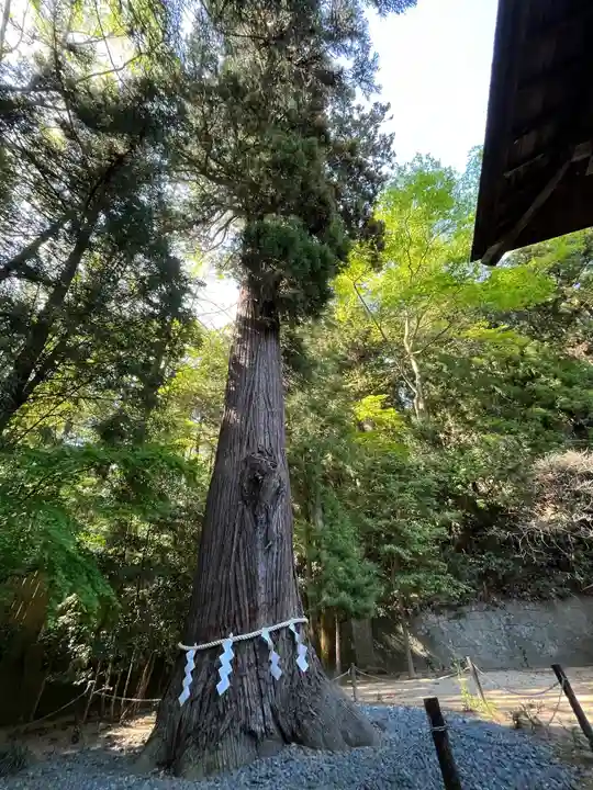 鹿嶋神社(福島県)
