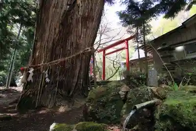 磐椅神社の手水舎