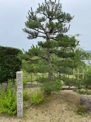禅定寺(京都府)