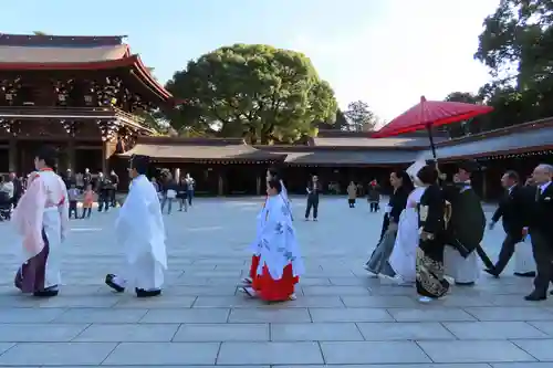明治神宮(東京都)