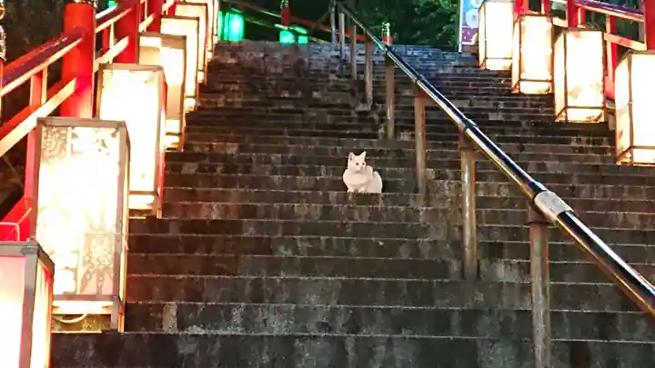 足利織姫神社の動物