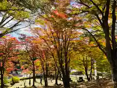 土津神社｜こどもと出世の神さまの自然