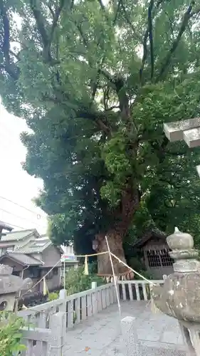 大社神社(愛知県)