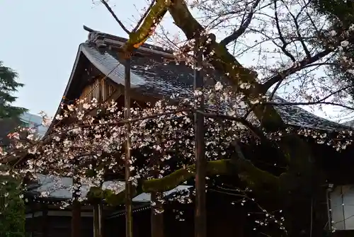 靖國神社(東京都)