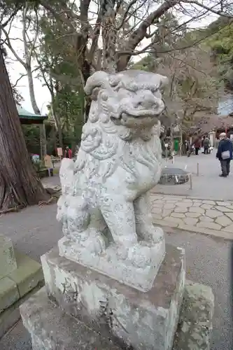 伊豆山神社の狛犬