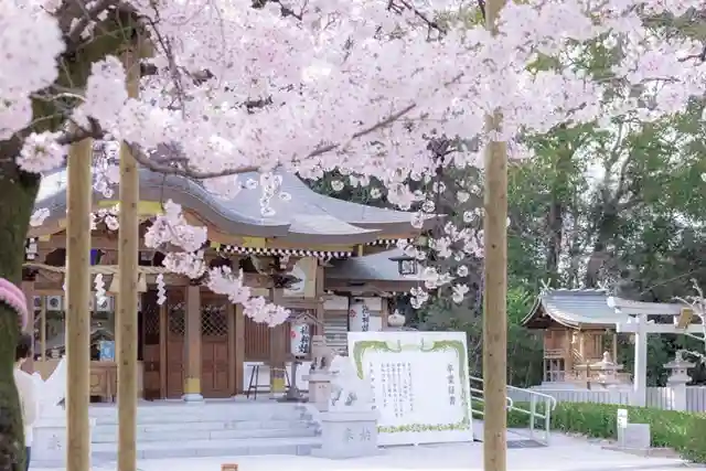 伊和志津神社の自然