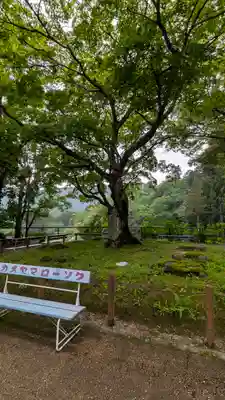 長谷寺(奈良県)