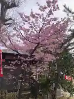 教善寺(神奈川県)