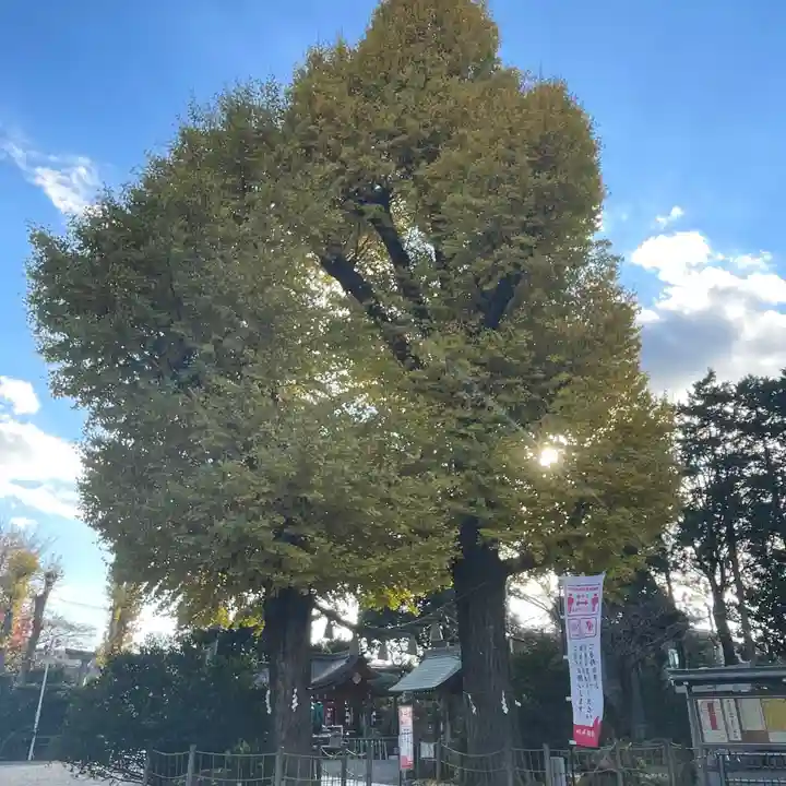 亀ケ池八幡宮(神奈川県)