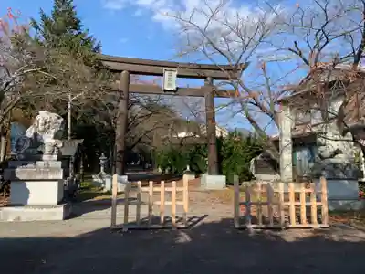 冨士御室浅間神社の鳥居