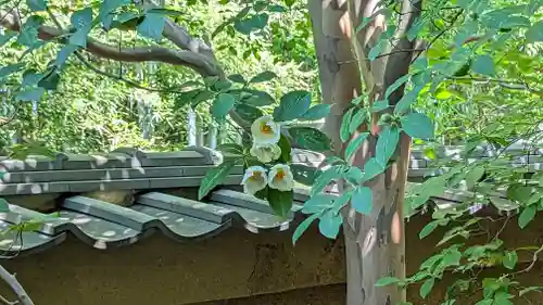 東林院(京都府)