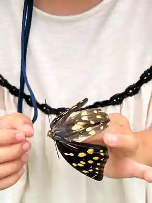 国宝 大法寺(長野県)