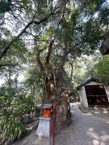 津八幡宮(三重県)