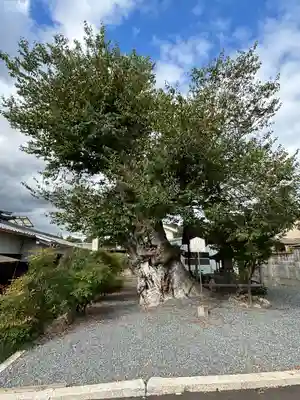 蔵林寺(京都府)