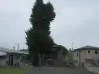 香取神社(埼玉県)