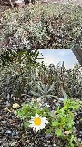 七重浜海津見神社(北海道)