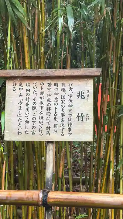 宇佐神宮(大分県)