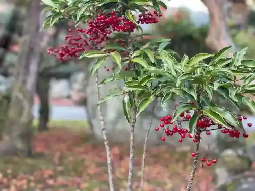 伊勢の国 四天王寺の自然