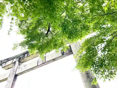 伊奈波神社(岐阜県)