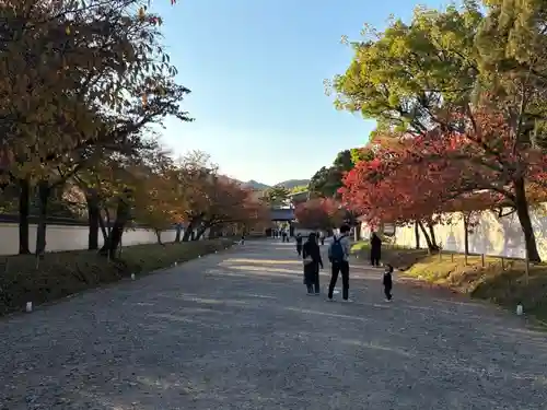 醍醐寺(京都府)