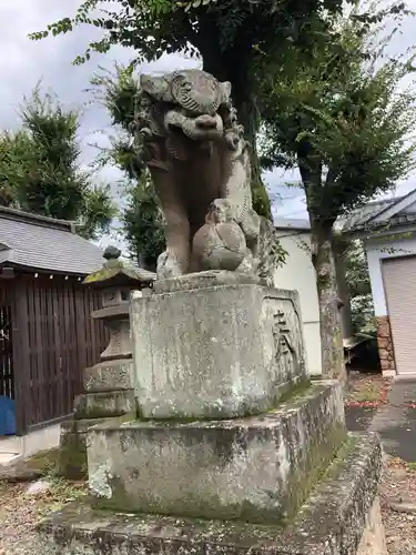 多賀神社の狛犬