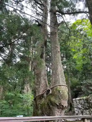 玉置神社(奈良県)