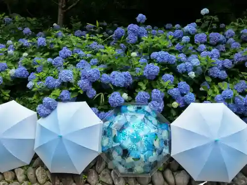 尊永寺(静岡県)