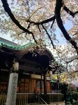 龍光寺(東京都)