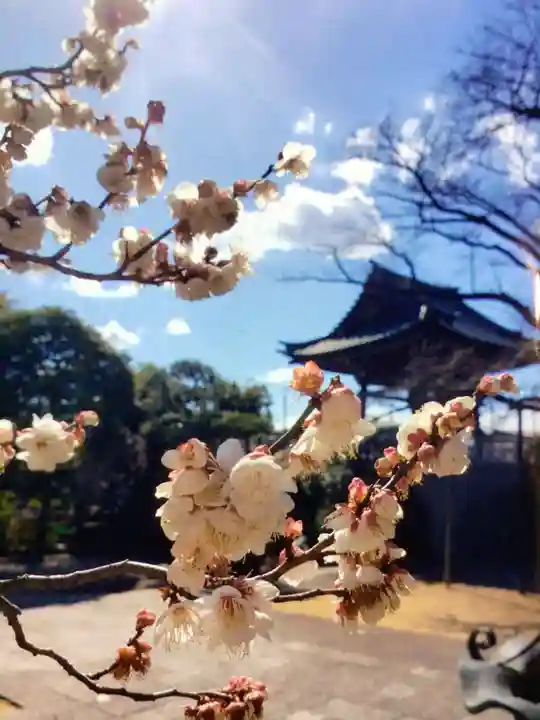 福蔵院(東京都)