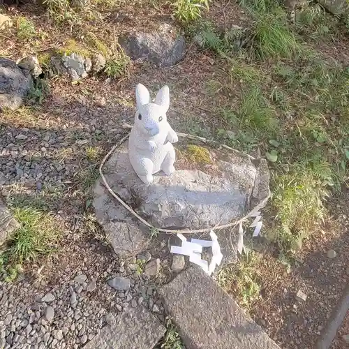 出雲大神宮の狛犬