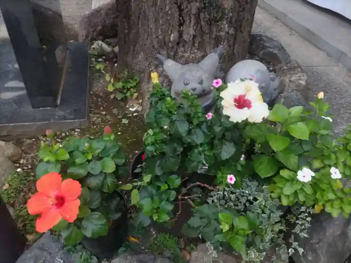 居木神社の自然