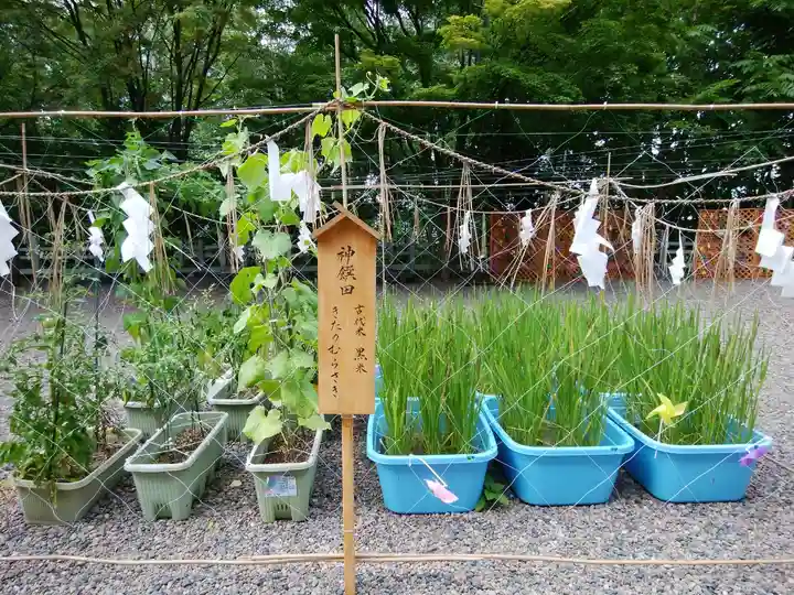 上川神社のその他建物