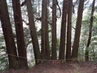 天岩戸神社(宮崎県)