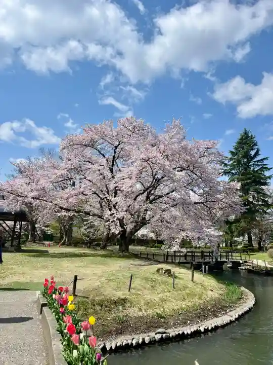 伊佐須美神社(福島県)
