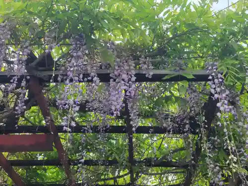 伊豫稲荷神社(愛媛県)