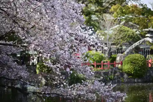 三嶋大社(静岡県)