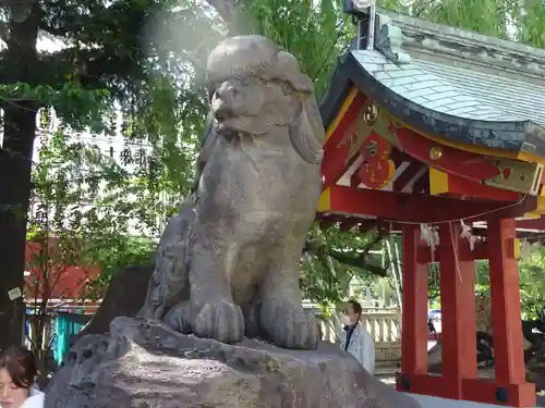 浅草神社の狛犬