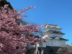 報徳二宮神社(神奈川県)