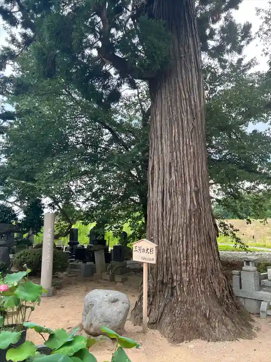 常福寺(山形県)