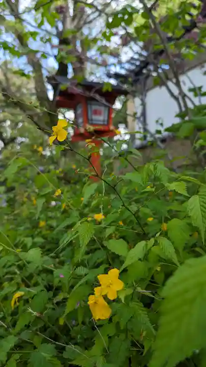 安井金比羅宮(京都府)